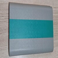 PVC Wall Guard