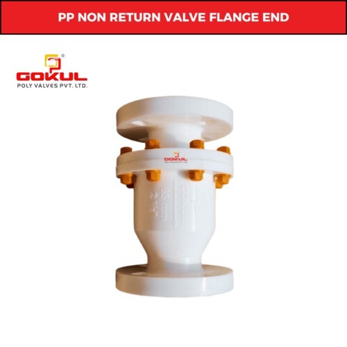 Gokul PP Nrv Valve