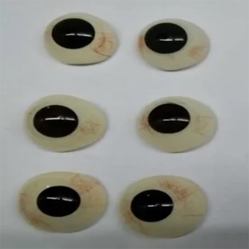 Artificial Prosthetic Eye
