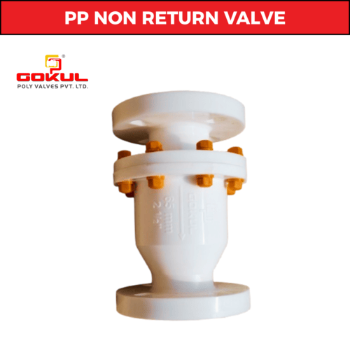 PP Non return Valve Nrv