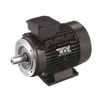 Havells Crane Duty Motor