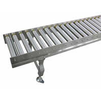 SS Roller Conveyor System