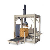 Gantry Type Palletizer - Capacity: 20 To 600 Kg/Hr Kg/Hr