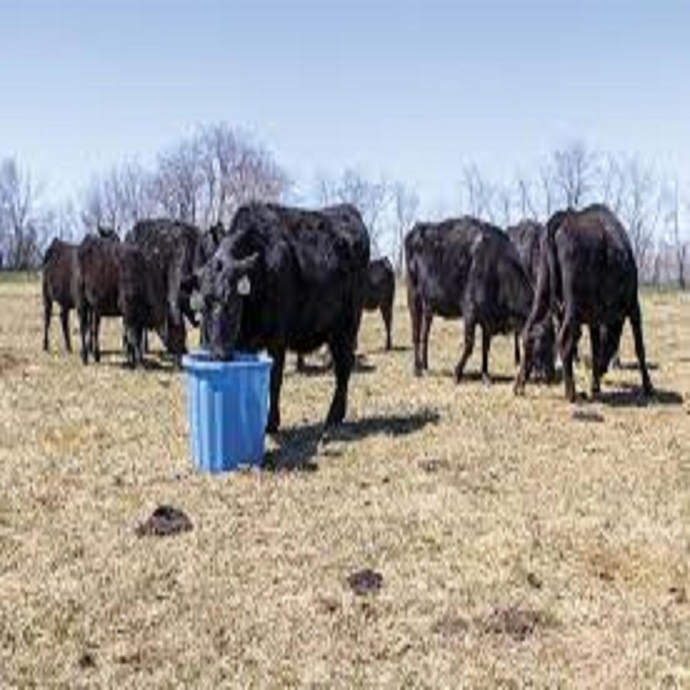 Midwest Lactation Grazing Mineral