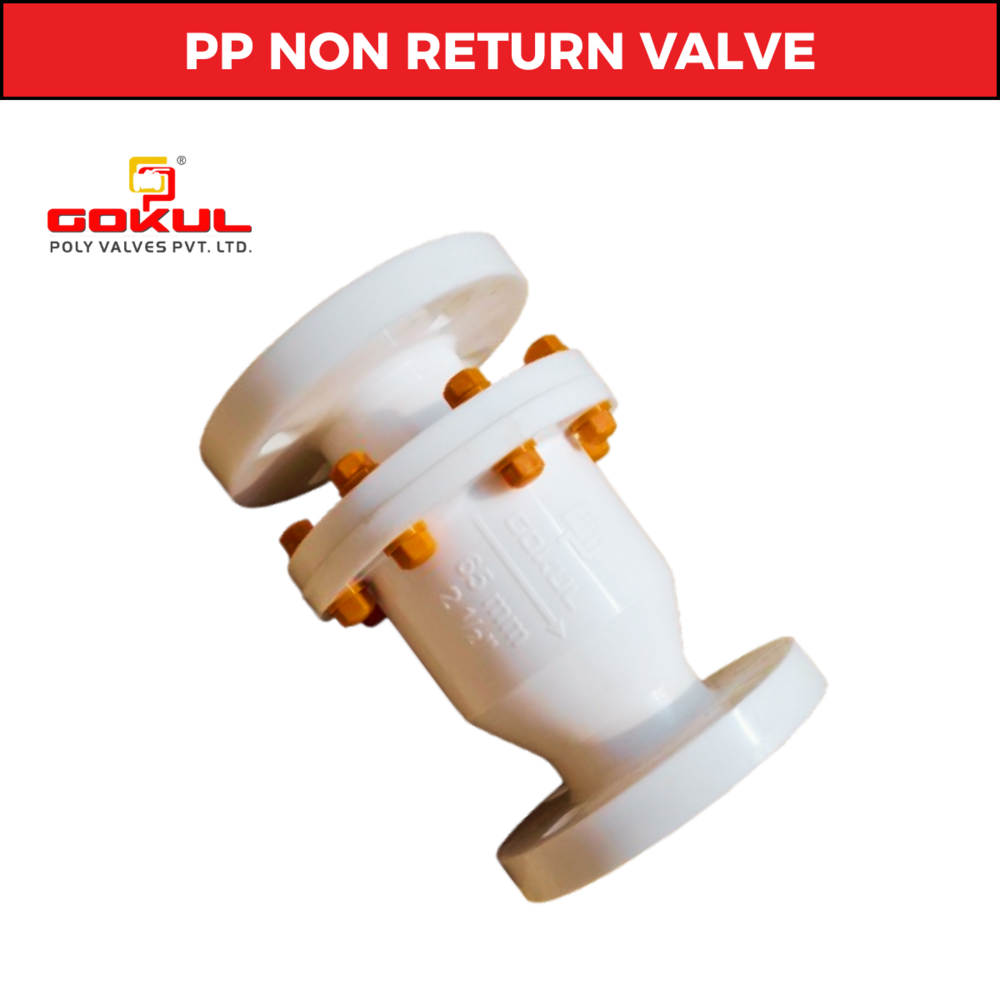 PP Non Return Valve Flange End