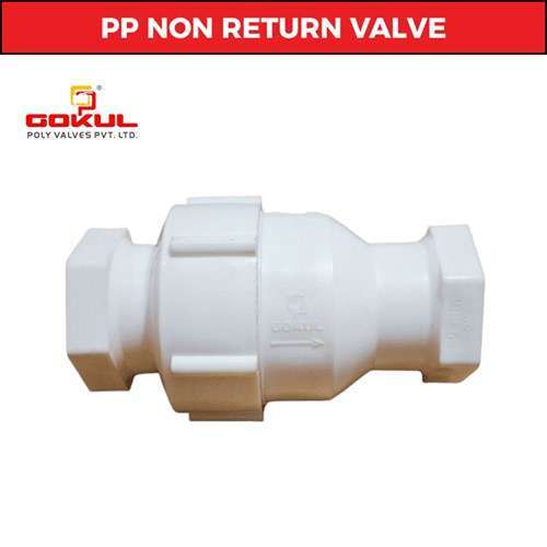 Pp Non Return Valve Flange End