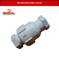 Gokul Polypropylene Nrv Flanged End Valve