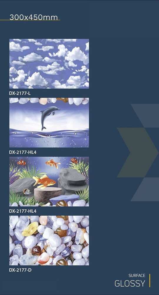 300x450 wall tiles fish concept