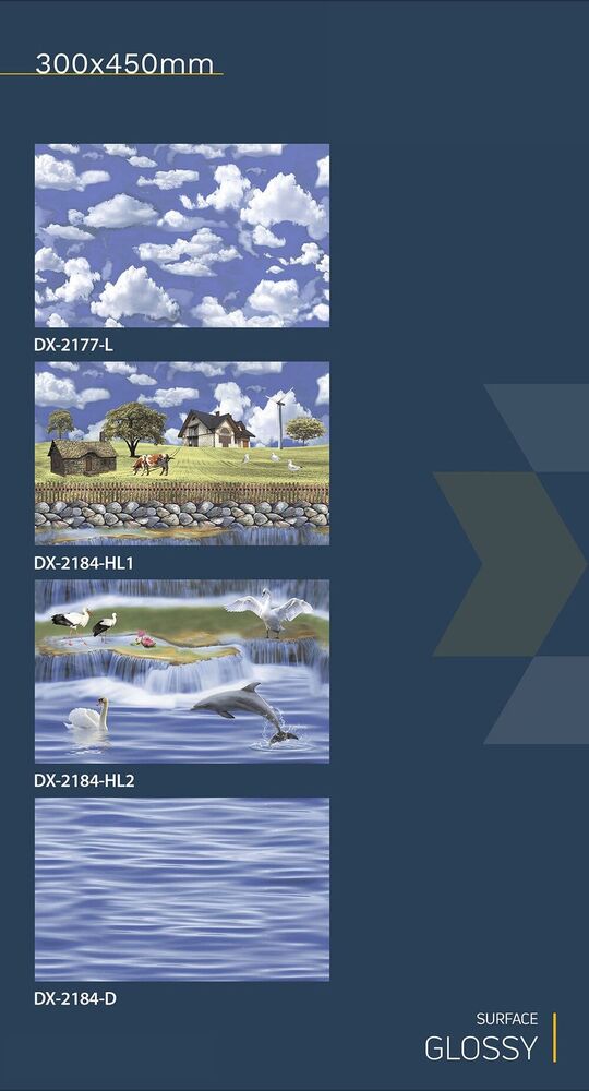 300x450 wall tiles fish concept