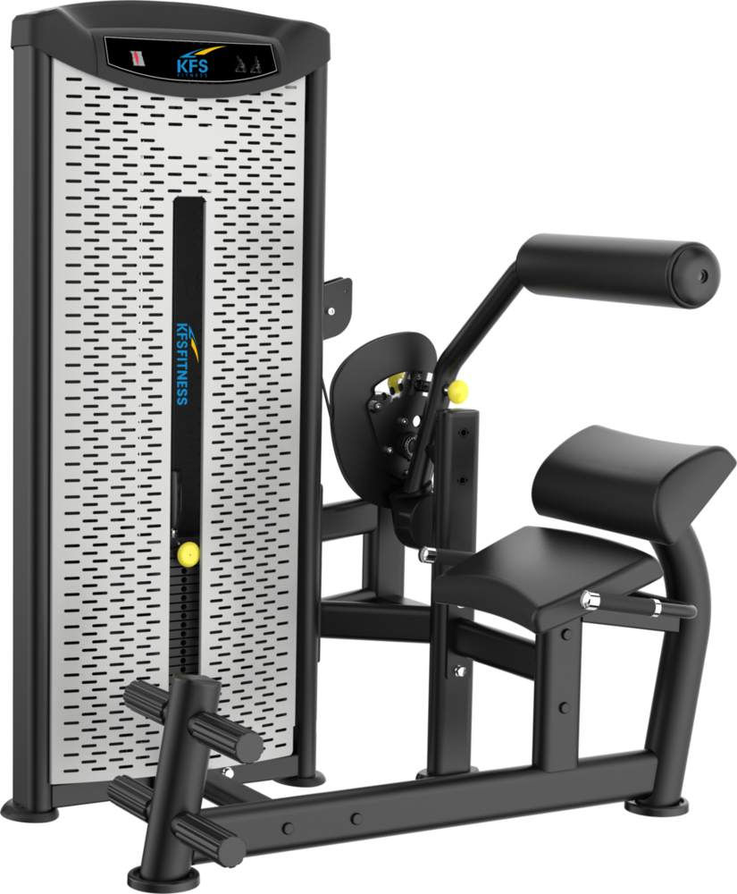 T6-009 Back Extention