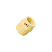 Cpvc Female Threaded Adaptor - Application: Plumbing Pipe