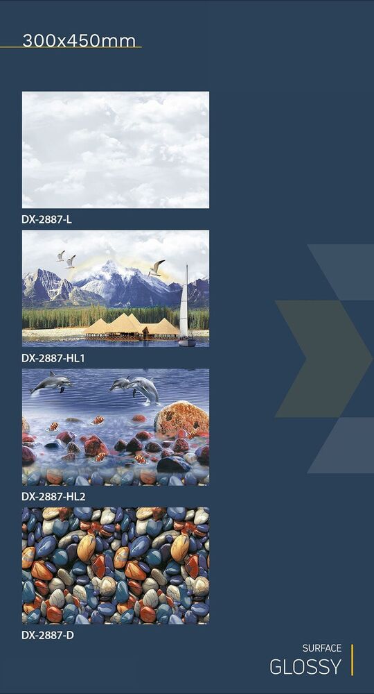 30x45 Ceramic Wall fish concept tiles