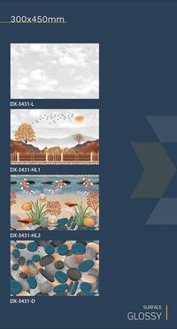 30x45 Ceramic Wall fish concept tiles