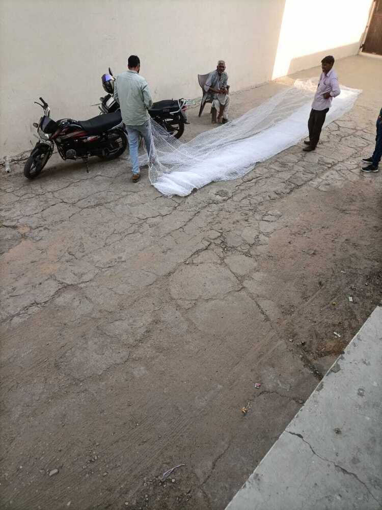Sturdy Pigeon Bird Protection Net