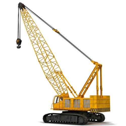 Mini Crawler Crane Rental Services