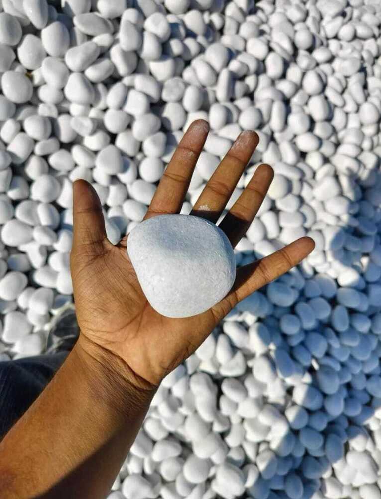 White Marble Pebbles Stone - Natural Stone Type: Limestone