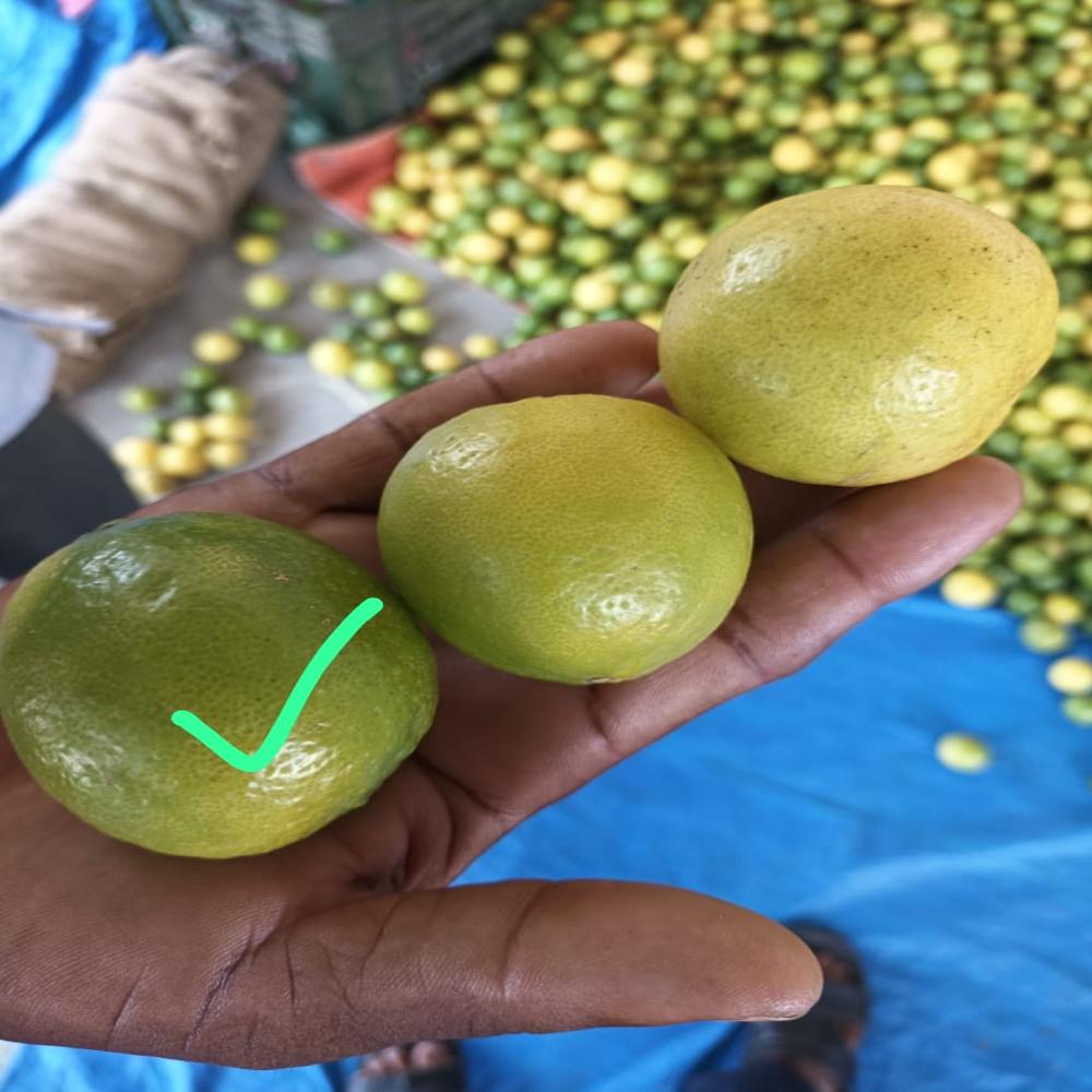 Green Lemon