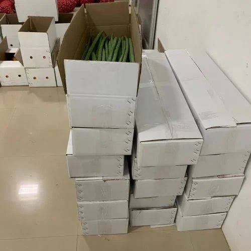 Drumstick vegetables