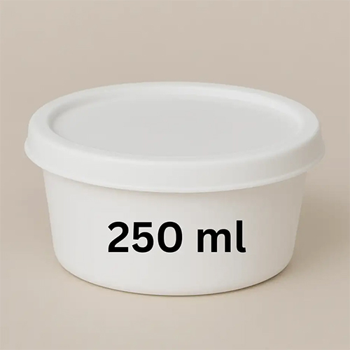 250 ML Plastic Food Container