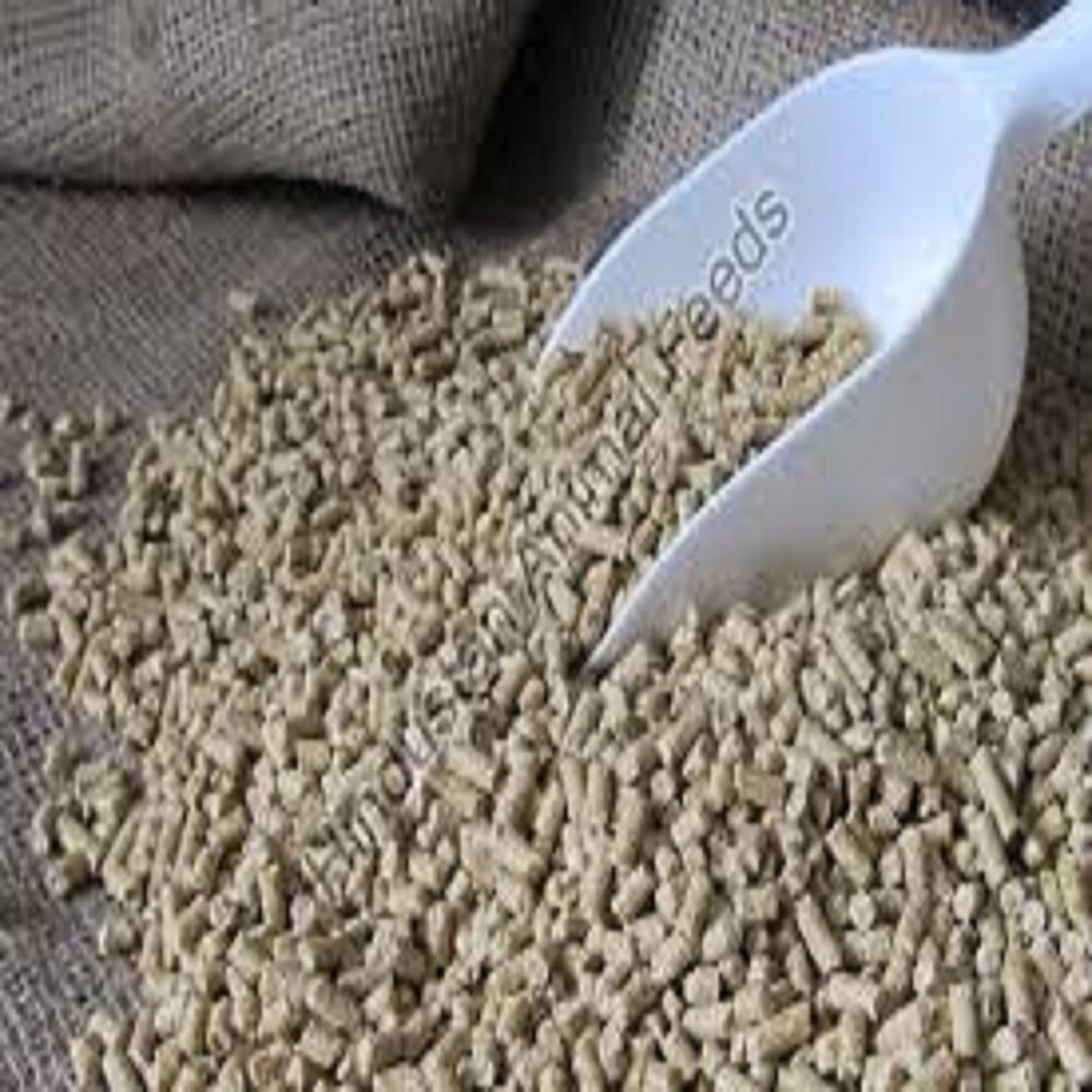 Swine Lactation Feed