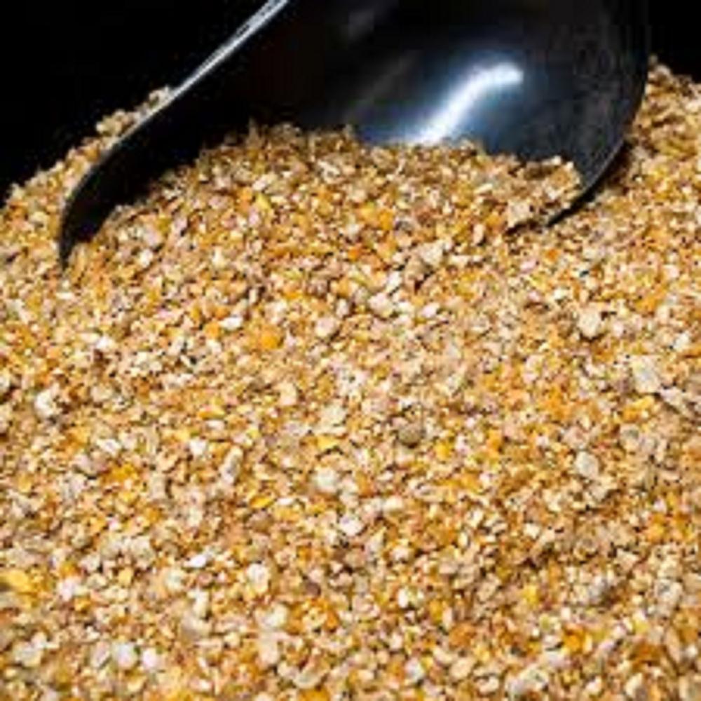 Poultry Layer Mash