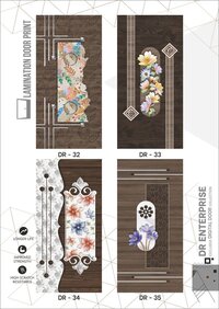 Premium Design Door Skin