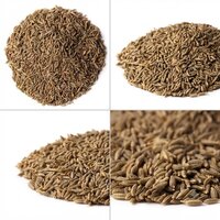 Cumin Seeds A1 - 30 Kilograms, Brown Color, 100% Purity, Nil Moisture, Up To 24 Months Shelf Life, Ideal For Culinary Use