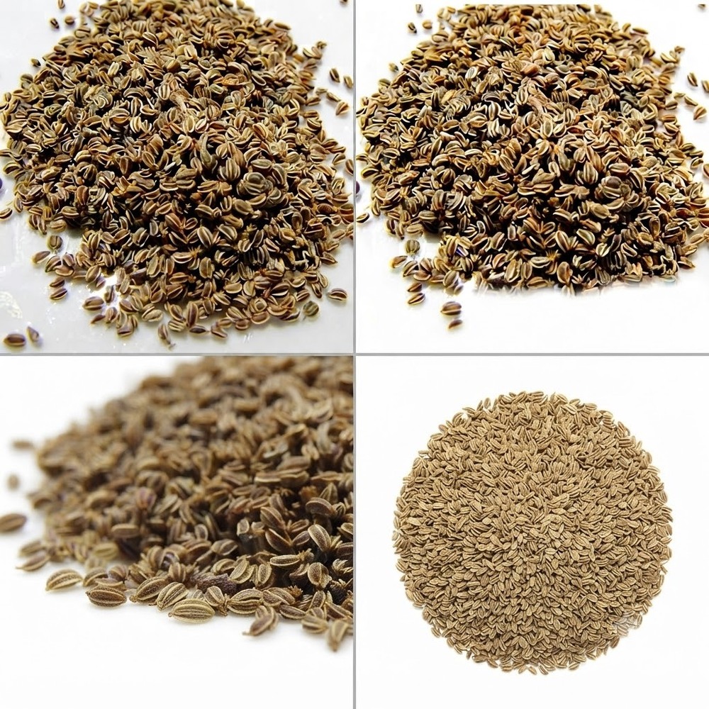 Ajwain Seeds - Food Grade, Nil Moisture, 100% Purity | Rich Brown Color, Shelf Life Up to 24 Months, Ideal for Culinary Use