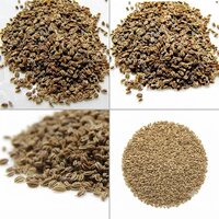 Ajwain Seeds - Food Grade, Nil Moisture, 100% Purity | Rich Brown Color, Shelf Life Up To 24 Months, Ideal For Culinary Use
