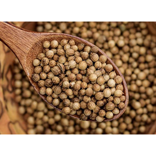 Coriander Seeds - Color: Brown
