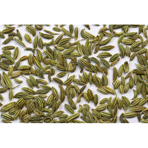 Fennel Seeds - Color: Green