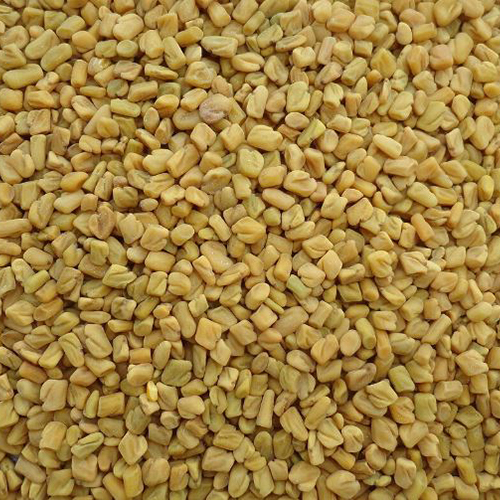 Fenugreek Seeds - Grade: Food Grade