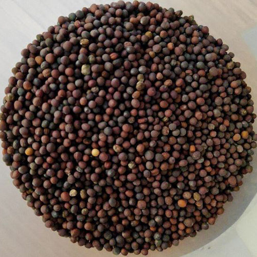 Mustard Seeds - Color: Brown