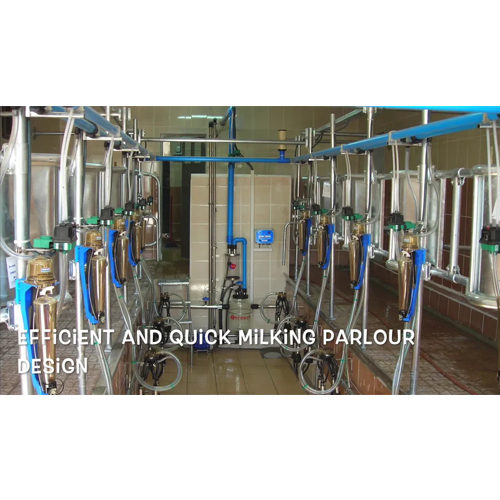 6x6 Automation Herringbone Milking Parlor
