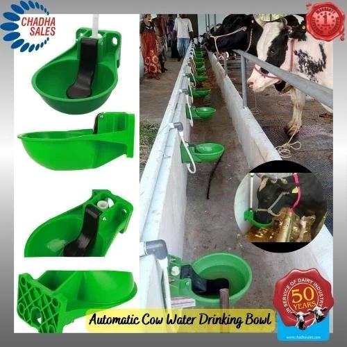 Cow Water Drinking Bowl - Color: Green