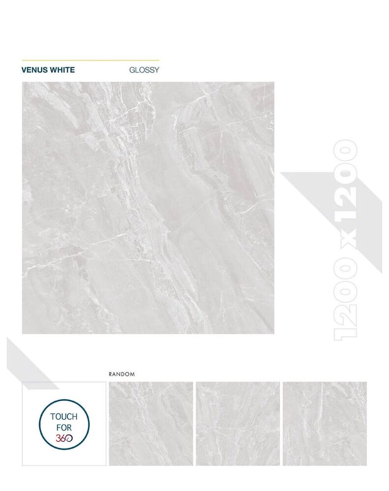 Premium 1200x1200mm Porcelain Vitrified Tiles  Glossy