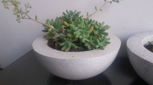 Bowl Shape - Color: All Color