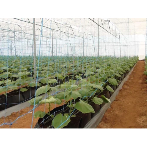 Vegetable Plant Supporting Net