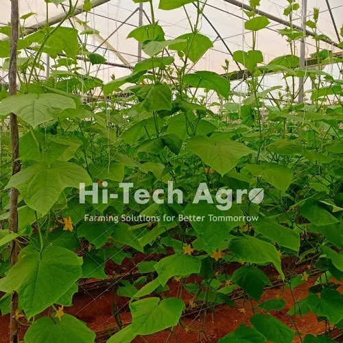 Crop Supporting Vegetable Net