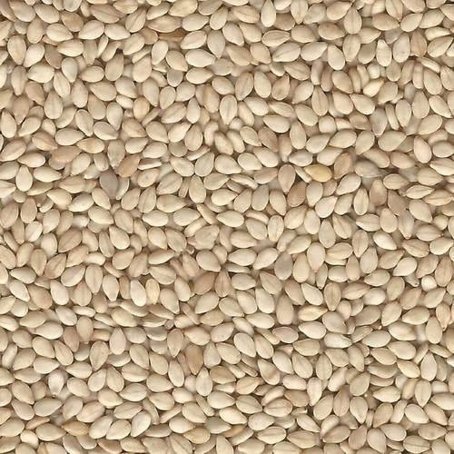 Natural White Gingelly Seeds