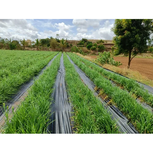 नियंत्रण मैट