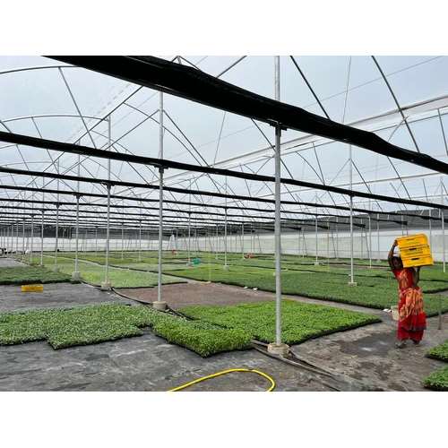 Suncover Greenhouse Covering Film