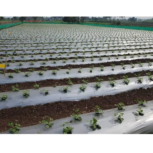 25 Micron Mulching Paper