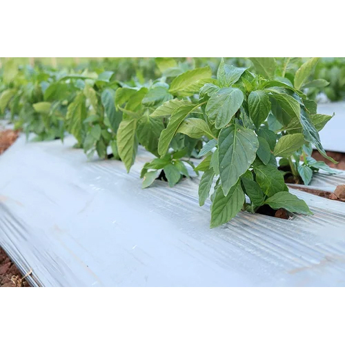 Black Mulching Film