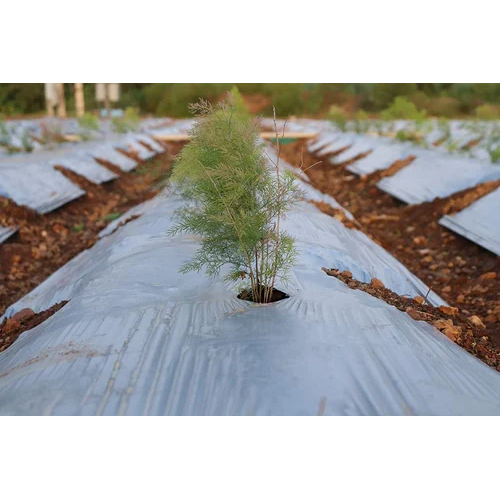 Agricultural Black Mulching Film