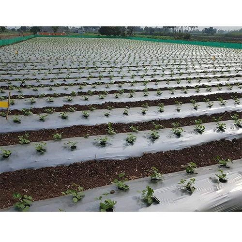 LDPE Mulching Film