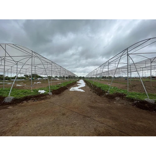 Greenhouse Construction Services