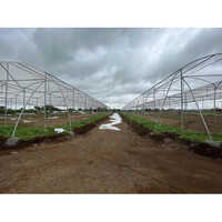 Greenhouse Construction Services