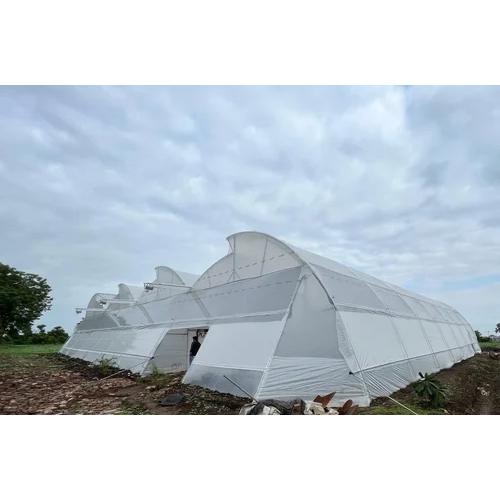 Naturally Ventilated Greenhouse Construction Services