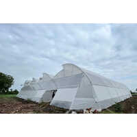 Naturally Ventilated Greenhouse Construction Services